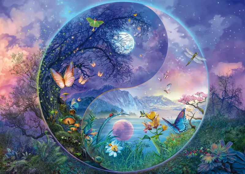 Yin & Yang - Le Monde Fantastique des Insectes