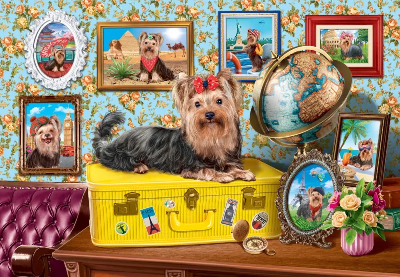 Yorkshire Terrier