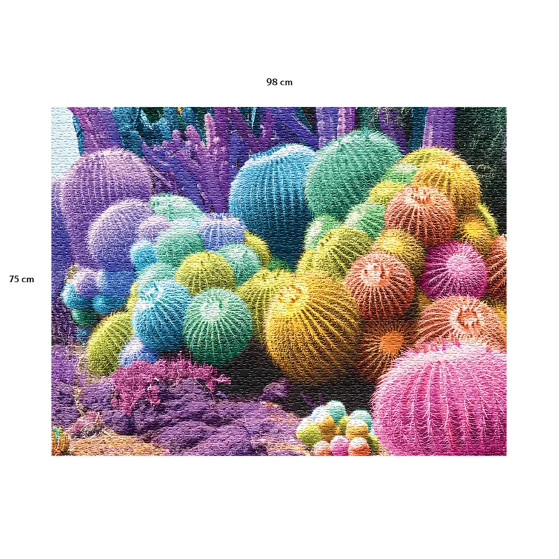 Arc-en-Ciel de Cactus