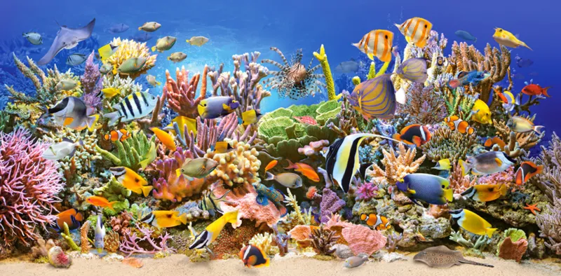La Vie Sous-Marine