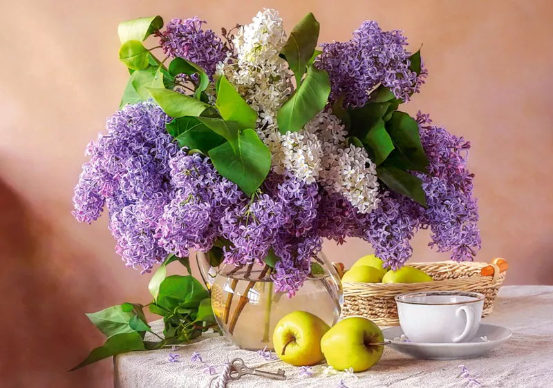 Nature Morte Lilas