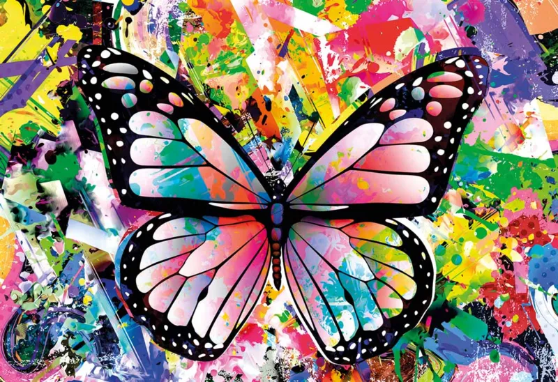 Colorful Butterfly