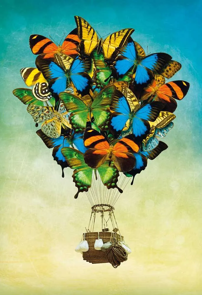 Butterfly Balloon