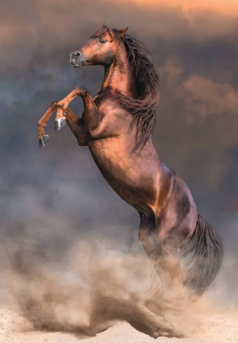 Étalon Rouge Sauvage