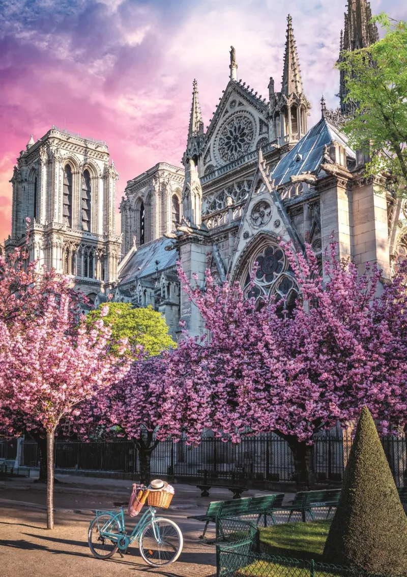 Photo Odyssée : Cathédrale Notre-Dame De Paris