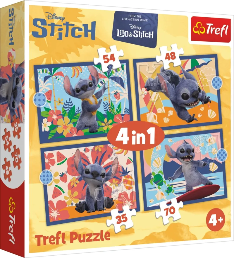 4 Puzzles - Holidays in Hawaii