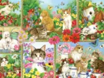 Chats et Chatons