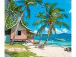 Paysage - Plage Tropicale Palawan - Philippines
