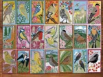 RSPB British Songbirds (1000)