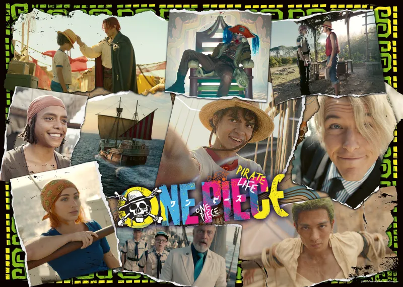 A la Recherche de One Piece