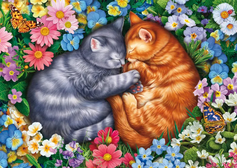 Sommeil aux pattes de velours