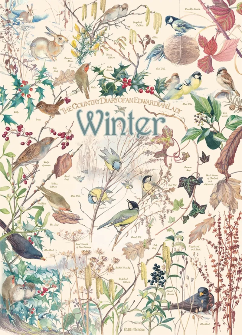 Country Diary - Hiver