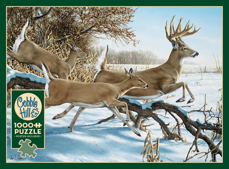 upture de couverture