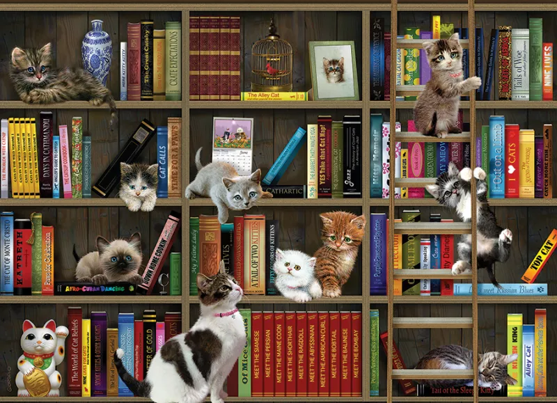Chatons de Bibliothèque
