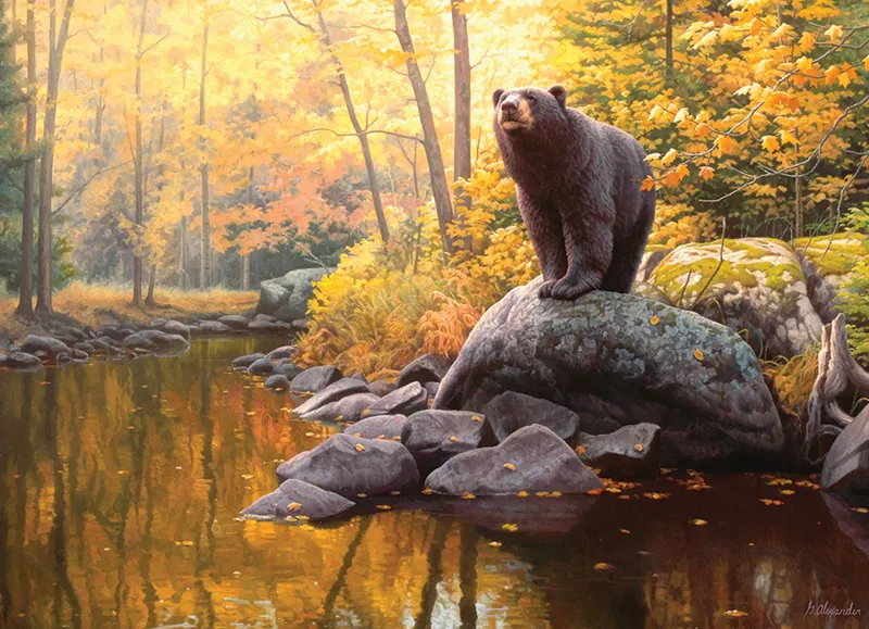 Étang De L'Ours Noir