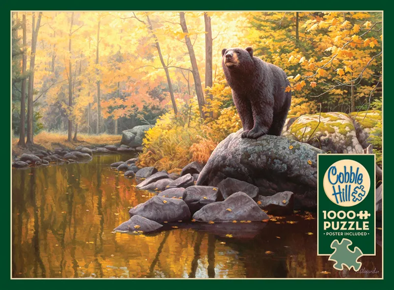 Étang De L'Ours Noir