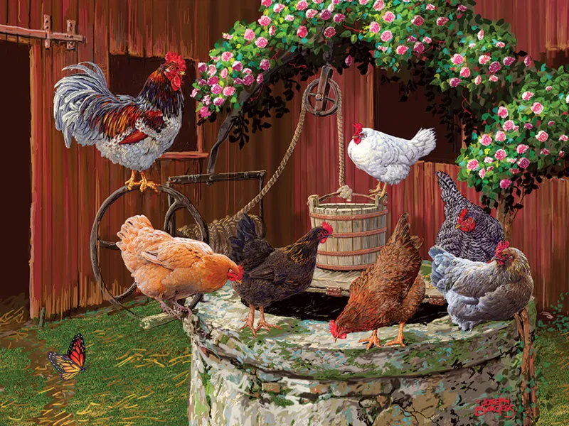 Pièces XXL - The Chickens are Well