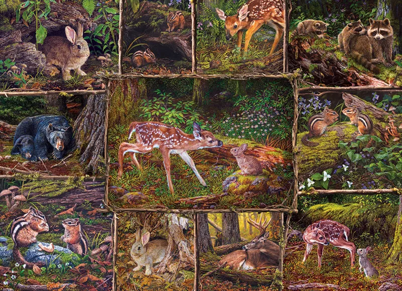 Dans les bois - Family Pieces