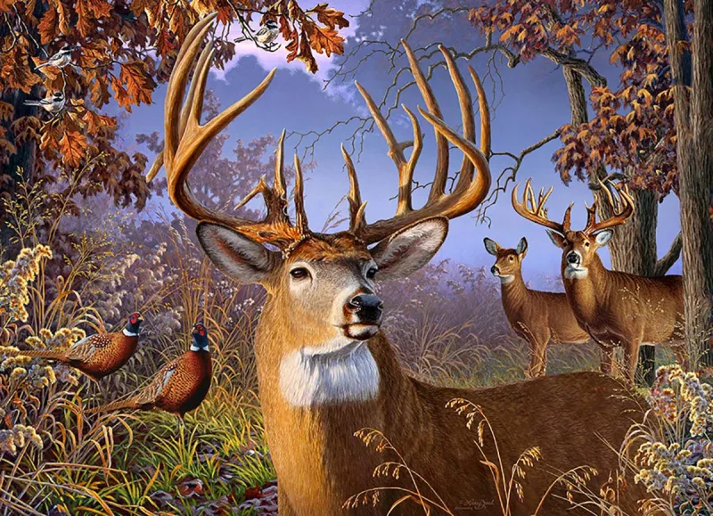 Pièces XXL - Deer and Pheasant