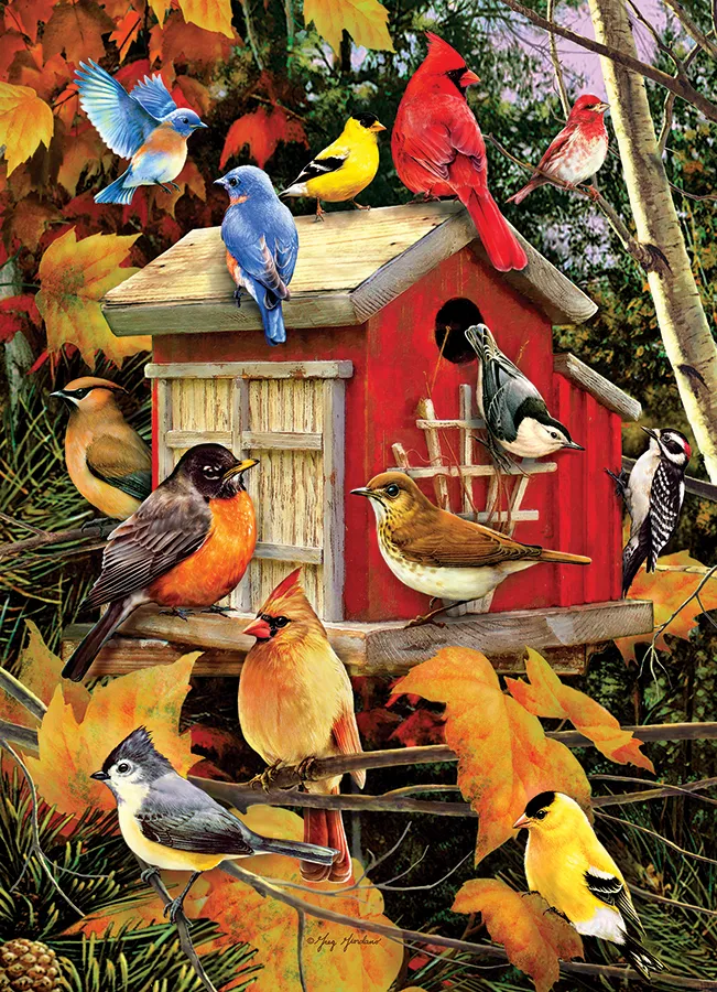Pièces XXL - Maison d'Oiseau d'Automne