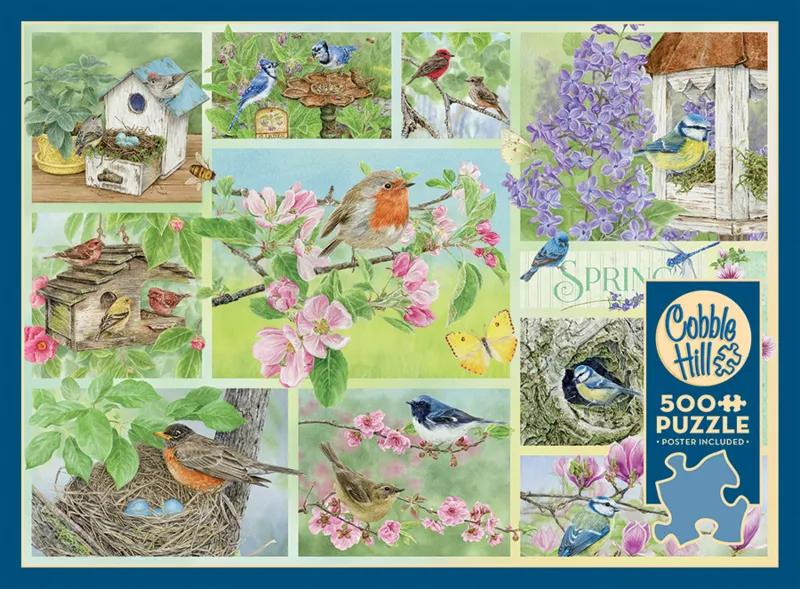 Oiseaux de Jardin au Printemps