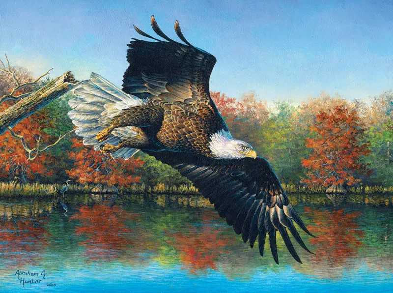 Abraham Hunter - Wetlands Eagle