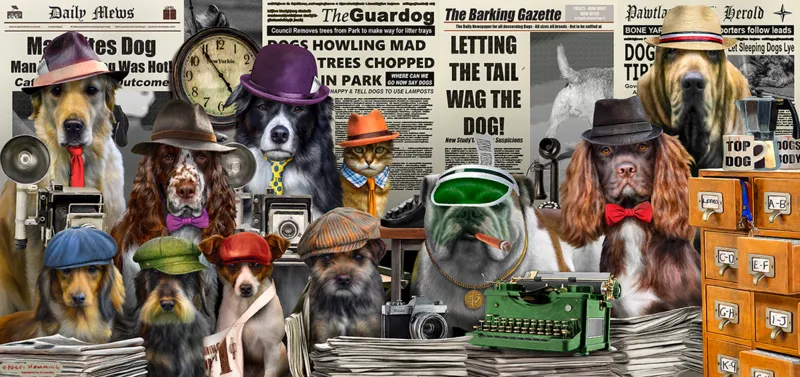 News Hounds