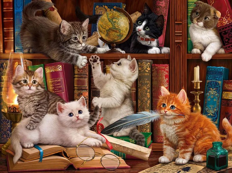 Chatons dans la Librairie