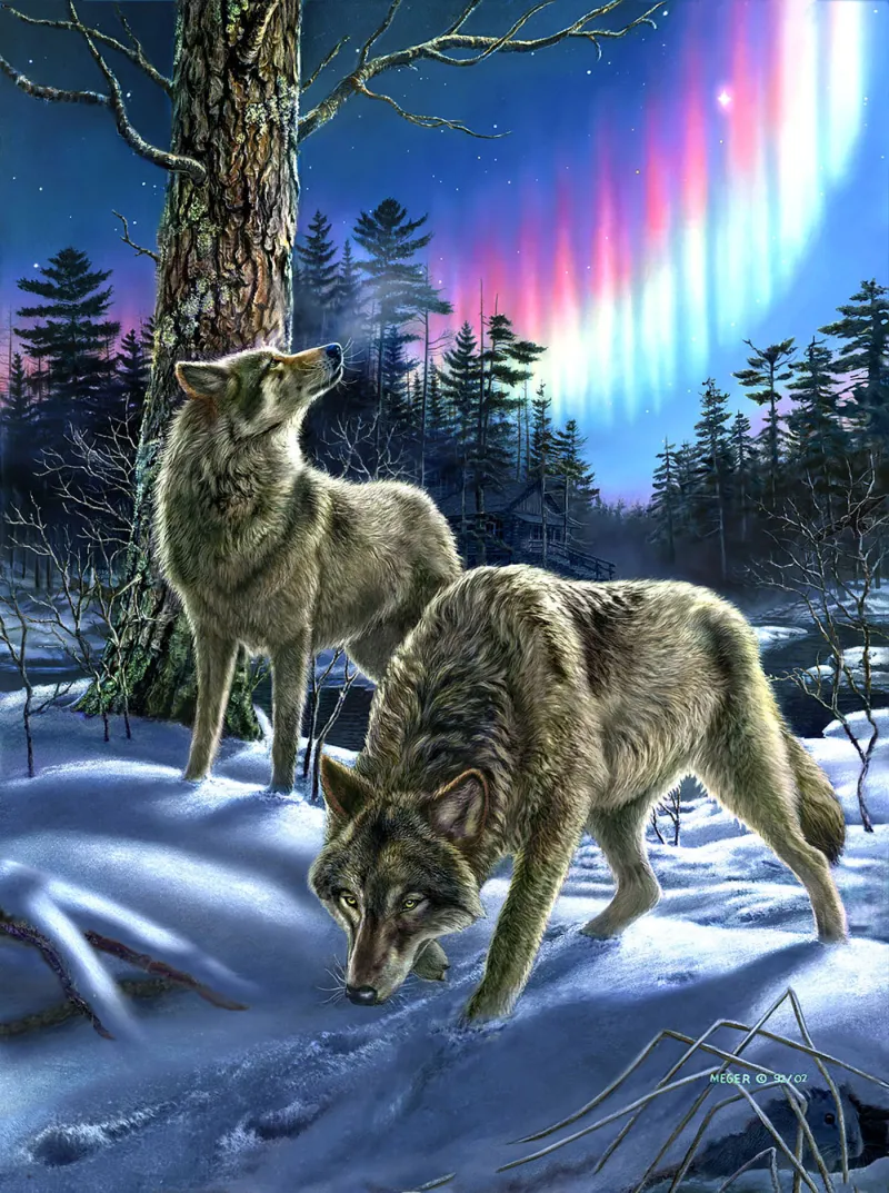 Loups sous l'Aurore