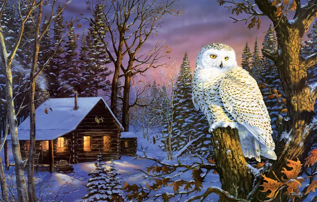 Terry Doughty - Night Watch