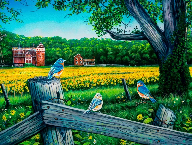 Le Blues De La Vallée Du Tournesol