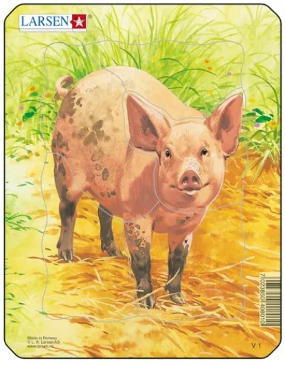 Puzzle Cadre - Cochon