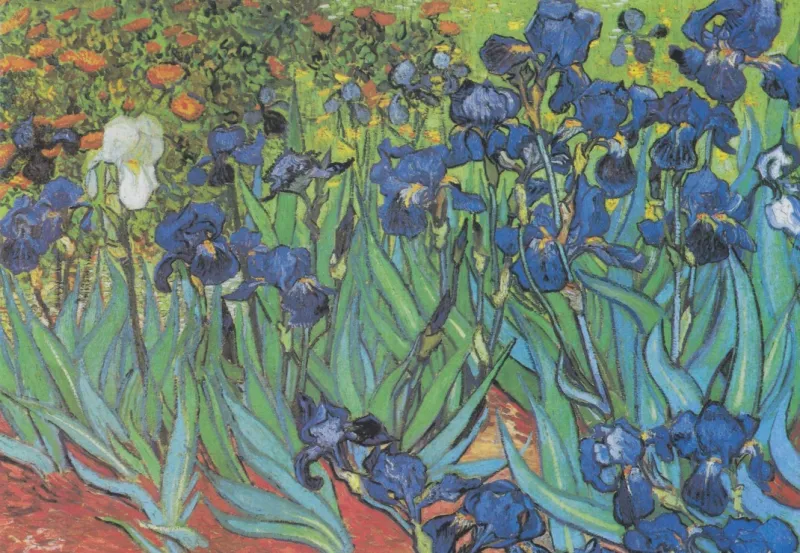 Vincent Van Gogh - Saint-Remy - Les Iris, 1889
