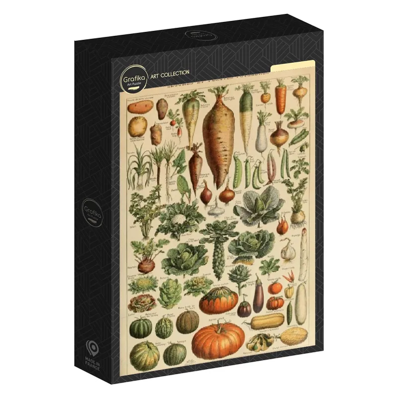 Illustration du Larousse pour Tous : Légumes et Plantes Potagères, XIXè Siècle