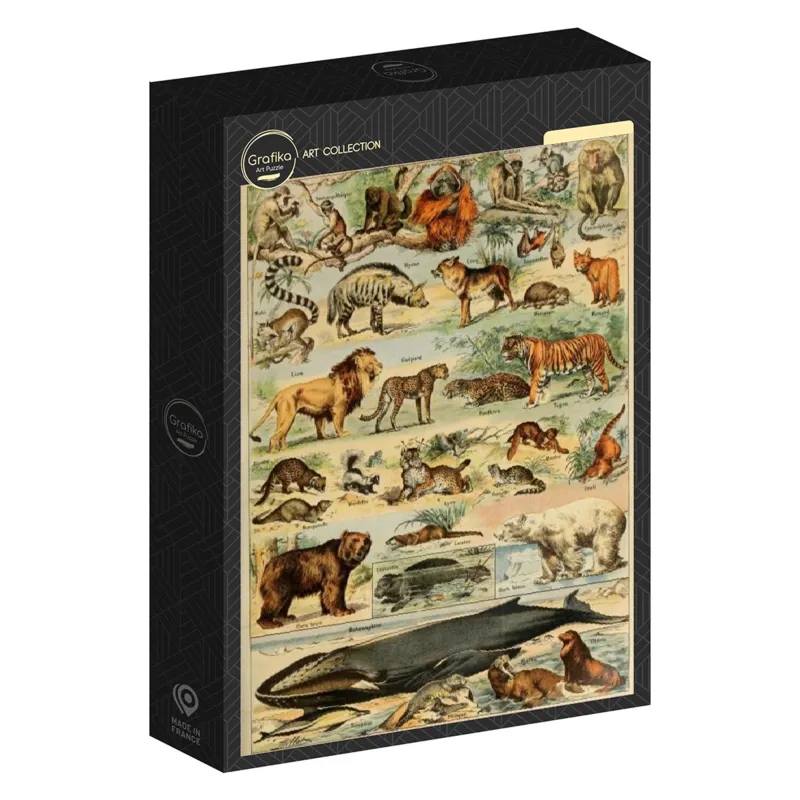 Illustration du Larousse pour Tous : Mammifères, XIXè Siècle