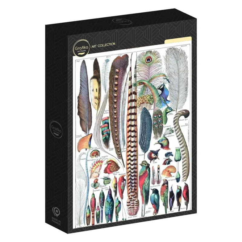 Illustration du Larousse pour Tous : Plumes, 1907-1910