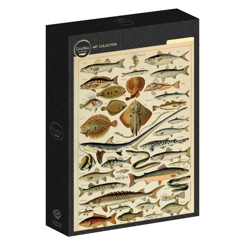 Illustration du Larousse pour Tous : Poissons, XIXè Siècle