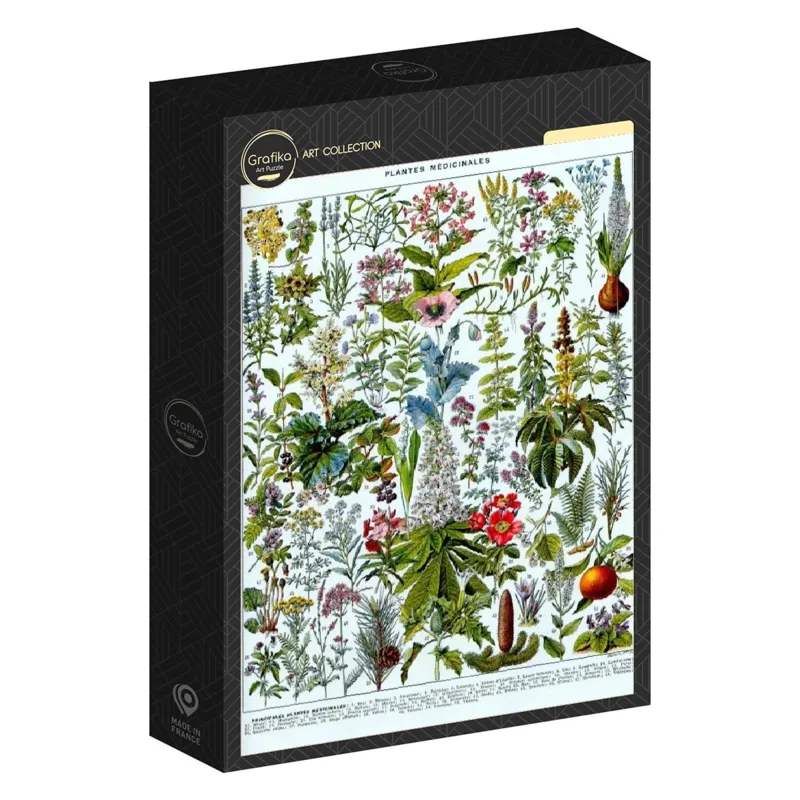 Illustration du Larousse : Les Plantes Médicinales