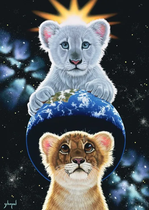 Schim Schimmel - The very few