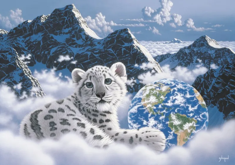 Schim Schimmel - Bed of Clouds