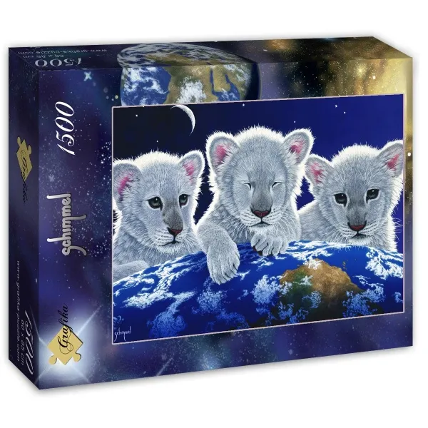 Schim Schimmel - Secret, Mystery and Hope