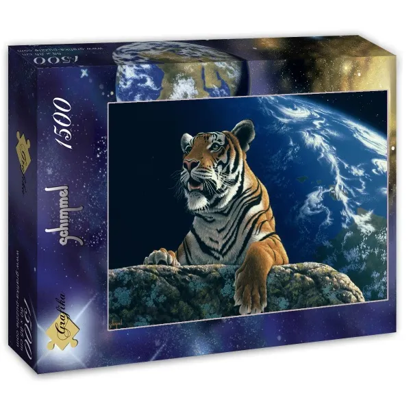 Schim Schimmel - Only One Home