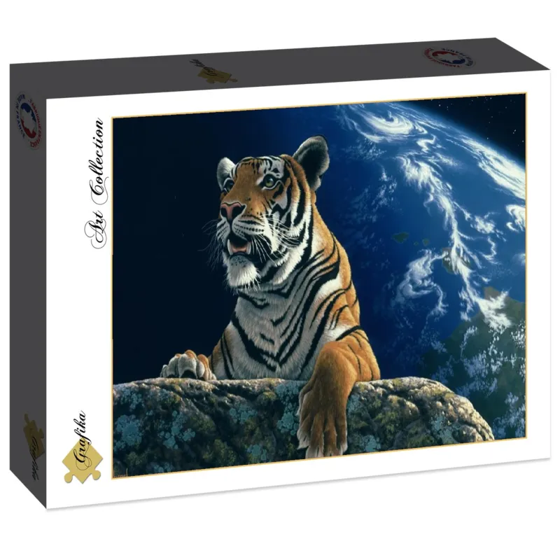 Schim Schimmel - Only One Home