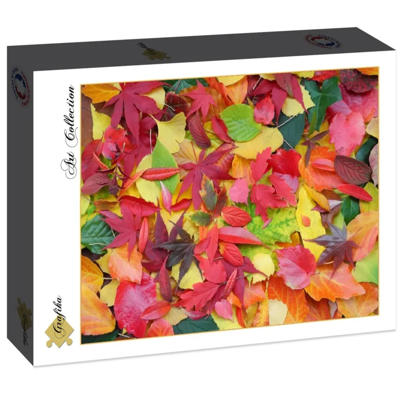 Feuilles d'Automne
