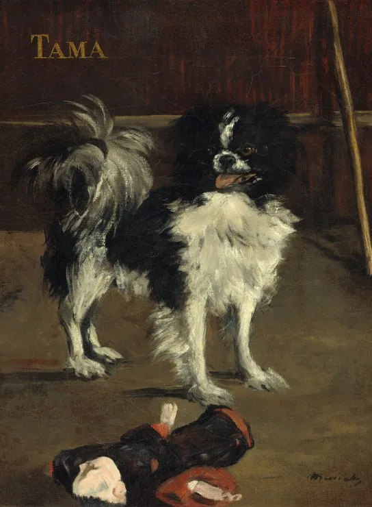 Edouard Manet : Tama : Le Chien Japonais, 1875