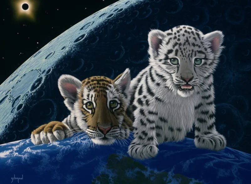 Schim Schimmel - Total Eclipse