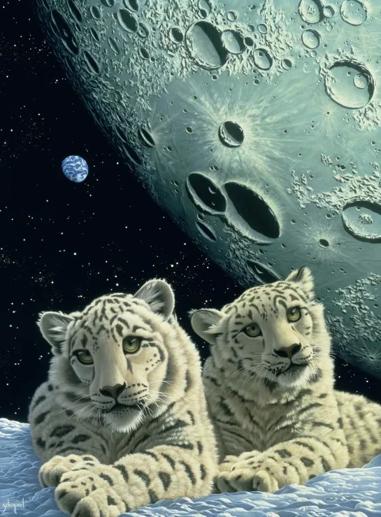 Schim Schimmel - Lair of the Snow Leopard