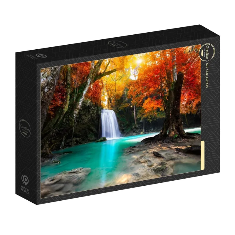 Cascade dans la Forêt