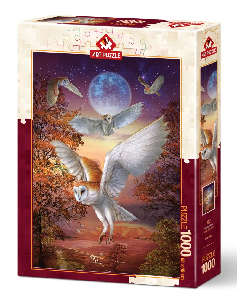 Hiboux au Clair de Lune