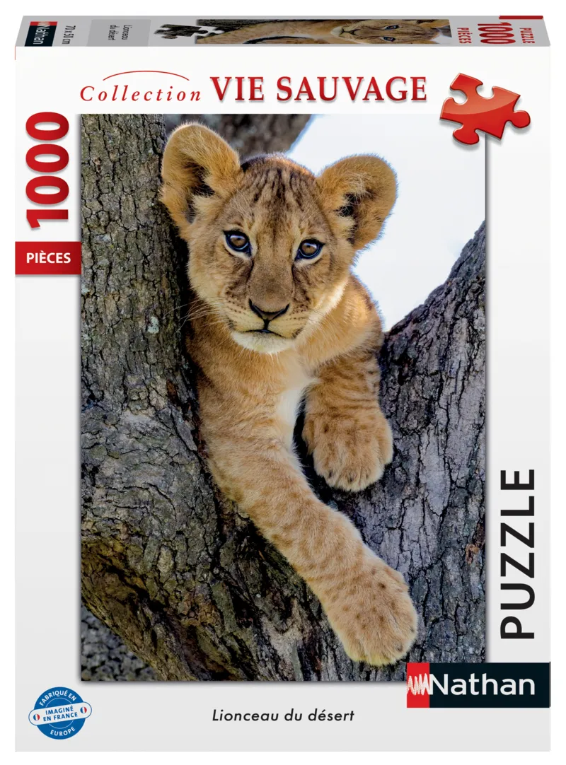 Lionceau du Désert